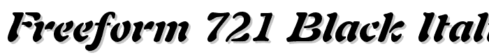 Freeform 721 Black Italic BT font